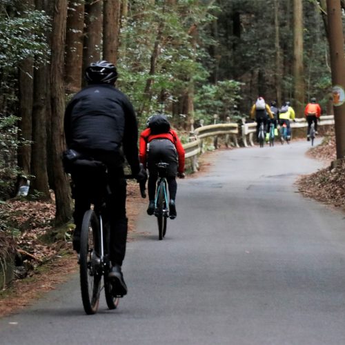 【値下げ】BRIDGESTONE 三輪自転車 【引き取り限定・京都・土日のみ】 下鴨店】今だけ!!お問い合わせ多数のブリヂストン 3輪電動アシストと20