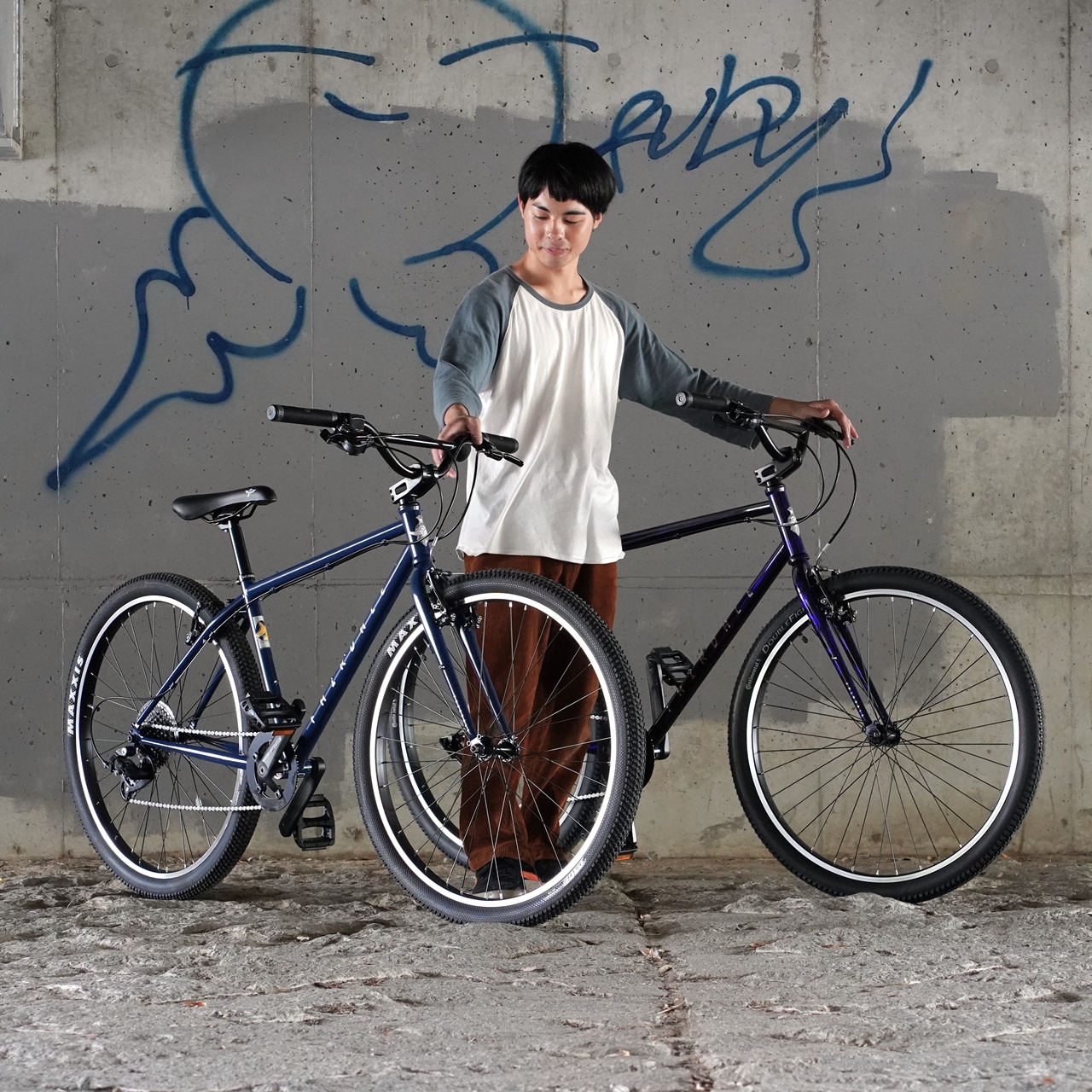 BLOG スピードを出しても出さなくても楽しい不思議な自転車