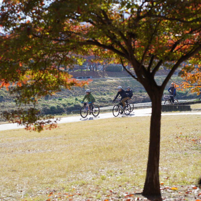 【ハテナサイクリング】岩倉の老舗喫茶店へ行く。京都鴨川グルメライド